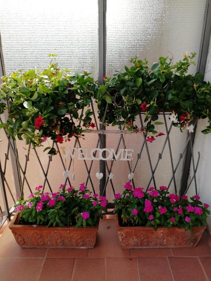 Casa Castellano Bed & Breakfast โนลา ภายนอก รูปภาพ